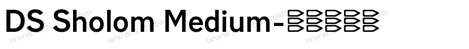 DS Sholom Medium字体转换